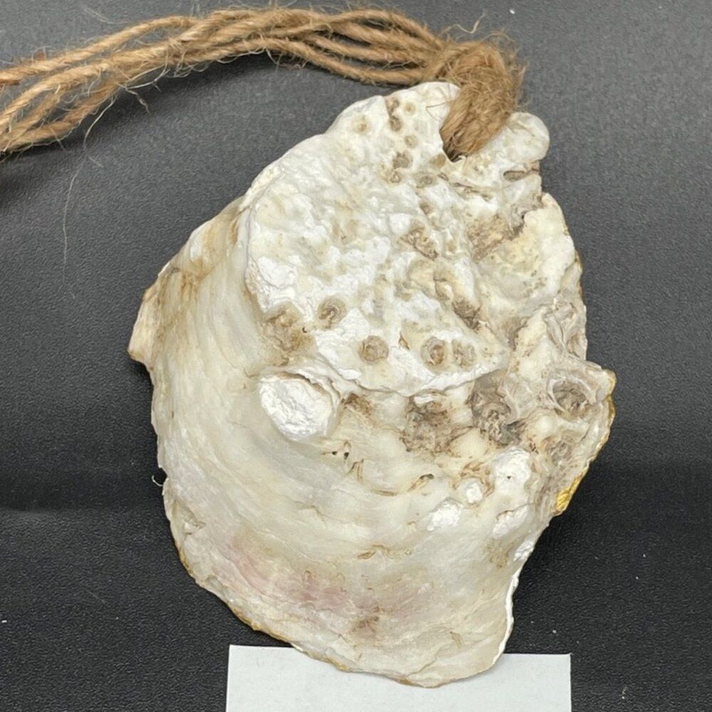 Decoupage Oyster Shell Ornament Decoupage Trinket Dish BADMINTON - Picture 3 of 8